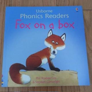 Fox on a box
