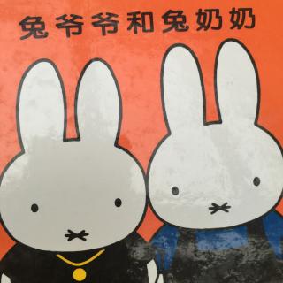 兔爷爷和兔奶奶