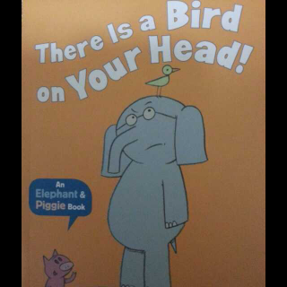 There is a bird on your head!