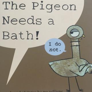 The Pigeon Needs A Bath