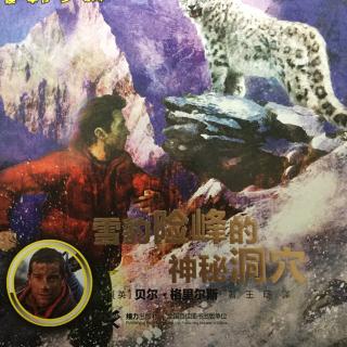 97.荒野求生少年生存小说系列之《雪豹险峰的神秘洞穴》（1）