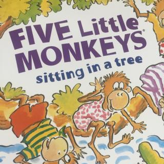 【Hedy读绘本】Five Little Monkeys Sitting in a tree《五只小猴子坐在树上》