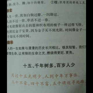 《增广贤文》读书惜时篇——15、千年树多，百岁人少