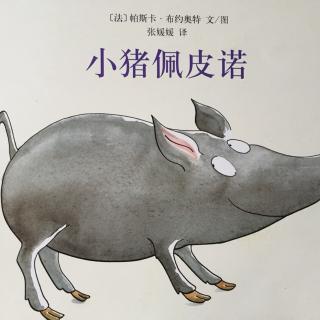 小猪佩皮诺