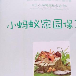 84小蚂蚁家园保卫战(若曦老师)