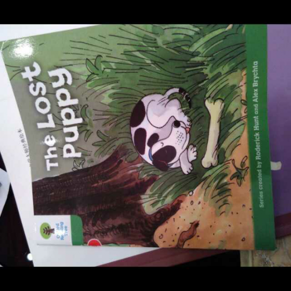 牛津树2-8 the lost puppy