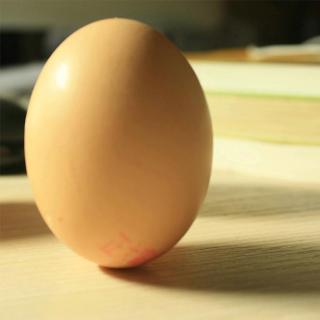 【谣言粉碎机】春分这天，鸡蛋能被竖起来？