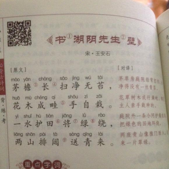 书湖阴先生壁