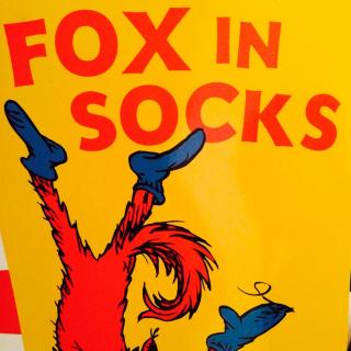 FOX  IN  socks