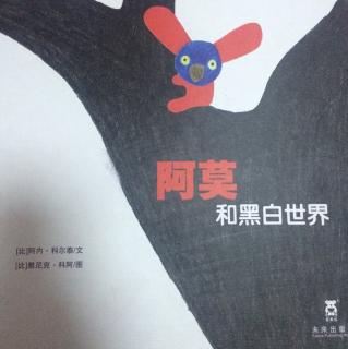 阿莫和黑白世界