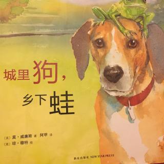 城里🐶和乡下蛙