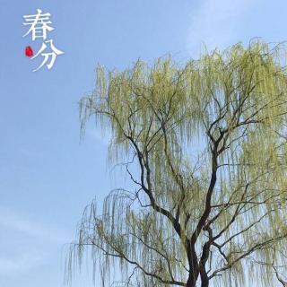 被吵醒的淩晨五點與馮唐的一首詩