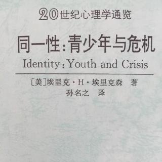 「同一性：青少年与危机」序言