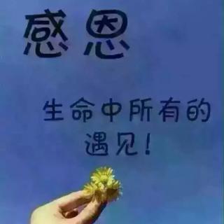 生活的坑都是自己挖的