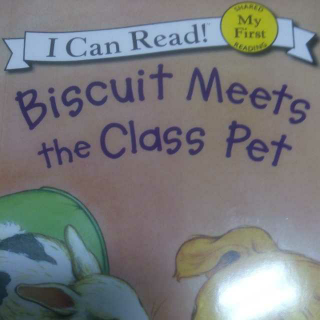 Biscuit Meets the Class Pet