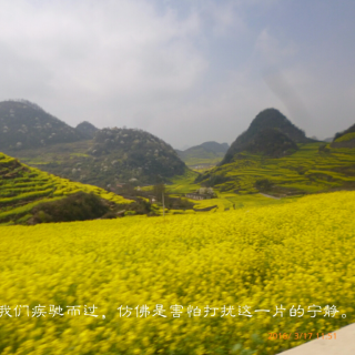 沙漠里的幸福