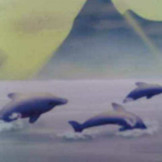 蓝色的海豚岛   第十五章   我驯服了朗图