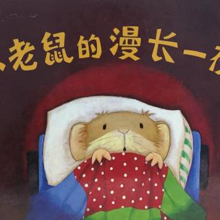 小老鼠的漫长一夜