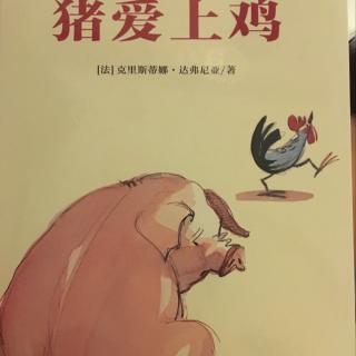 🐷爱上🐔