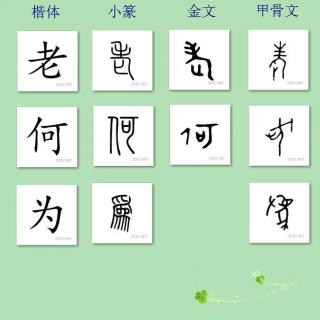 三字经讲解13-老何为