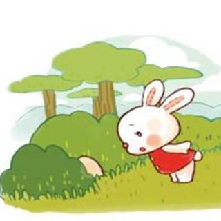 小兔学长跑