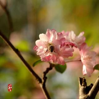 献给廊坊市第四小學一(3)班同学