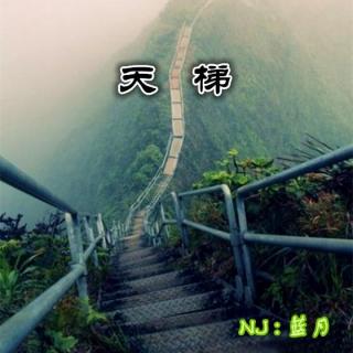 天梯 — NJ 蓝月