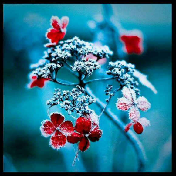 【关于你】在线收听_顾铭希_荔枝fm