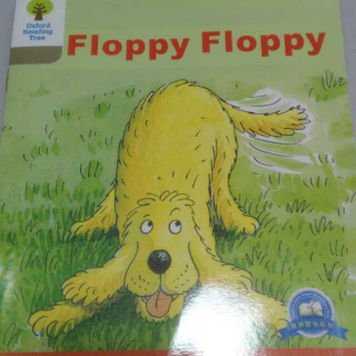 Floppy Floppy