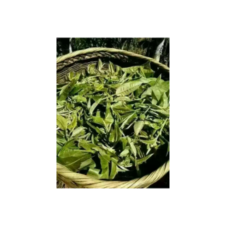 认识黑茶以及黑茶的种类