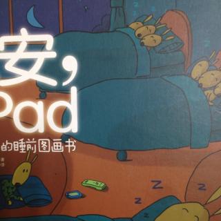 36期《晚安ipad》雨阳姐姐