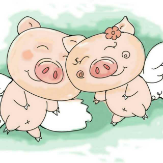 《两只猪的爱情故事》有人感动哭了
