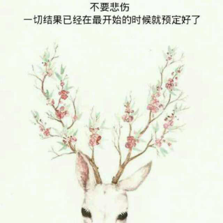 【最爱英语台词】人生就像一盒巧克力