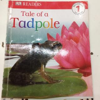 DK reader1 Tale of a tadpole
