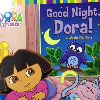 Good night,Dora!