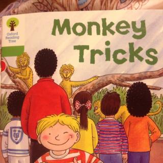 Monkeys tricks