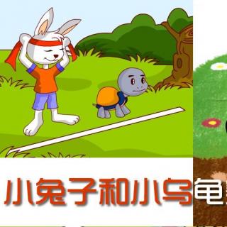 小兔子和小乌龟赛跑的故事-阿加西-从小听故事