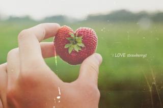 【生活】路边的草莓你了解它吗