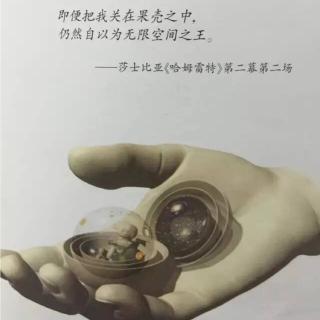 我们去找那片瓦