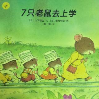 绘本故事—《7只老鼠去上学》