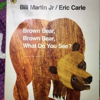 Brown bear,brown bear,what do you see?