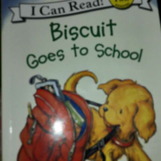 Biscuit Goes to school