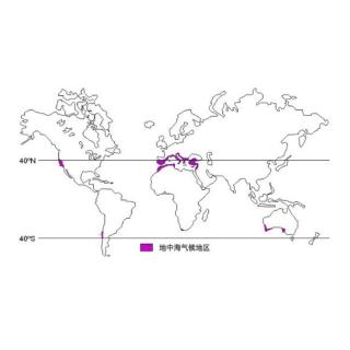 地中海 21 气候的统一性