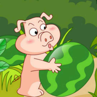 第3期  小猪搬西瓜