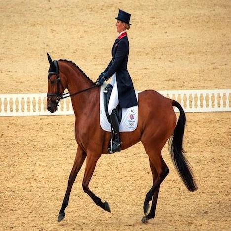 【第十四期:关于马术盛装舞步】在线收听_骑马侃大山_荔枝fm