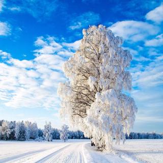 ☆北极星ゞ 班得瑞典藏 3.自然音乐 《 春野》08.雪之梦