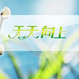 《天天向上》3月27日YY直播录音节目