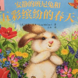 绘本故事——《安静的班尼兔和五彩缤纷的春天》🐰💐
