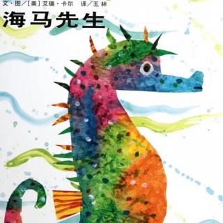 海马先生Mr Seahorse