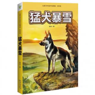 中国最佳儿童小说《猛犬暴雪》上